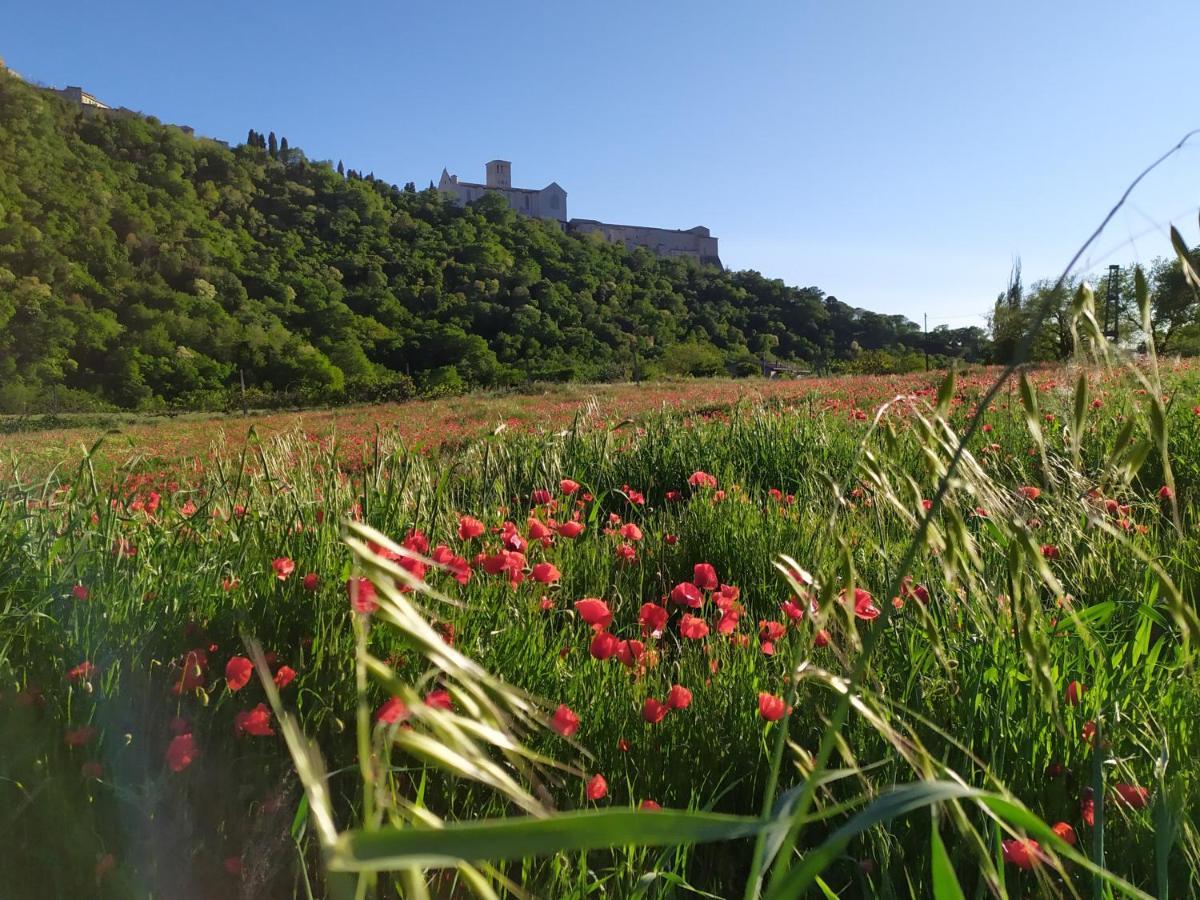 Camere Le Cascatelle Ασίζη Εξωτερικό φωτογραφία