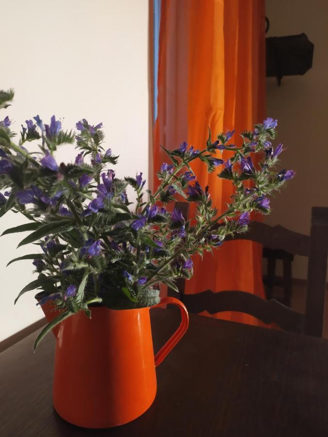 Camere Le Cascatelle Ασίζη Εξωτερικό φωτογραφία